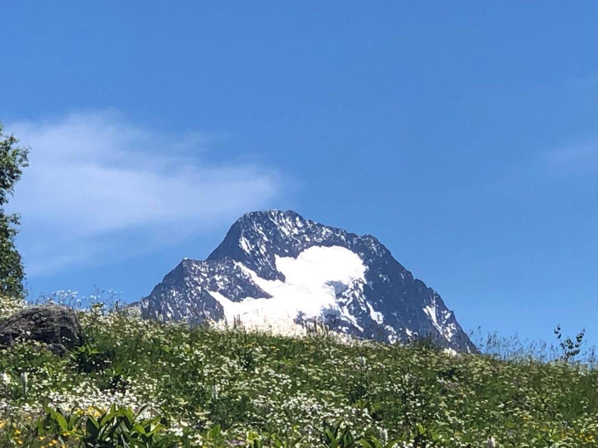 Ferienwohnung L'Ansloboys Montagne A2 Les Deux Alpes Exterior foto