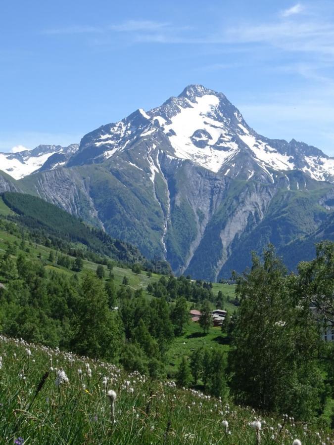 Ferienwohnung L'Ansloboys Montagne A2 Les Deux Alpes Exterior foto